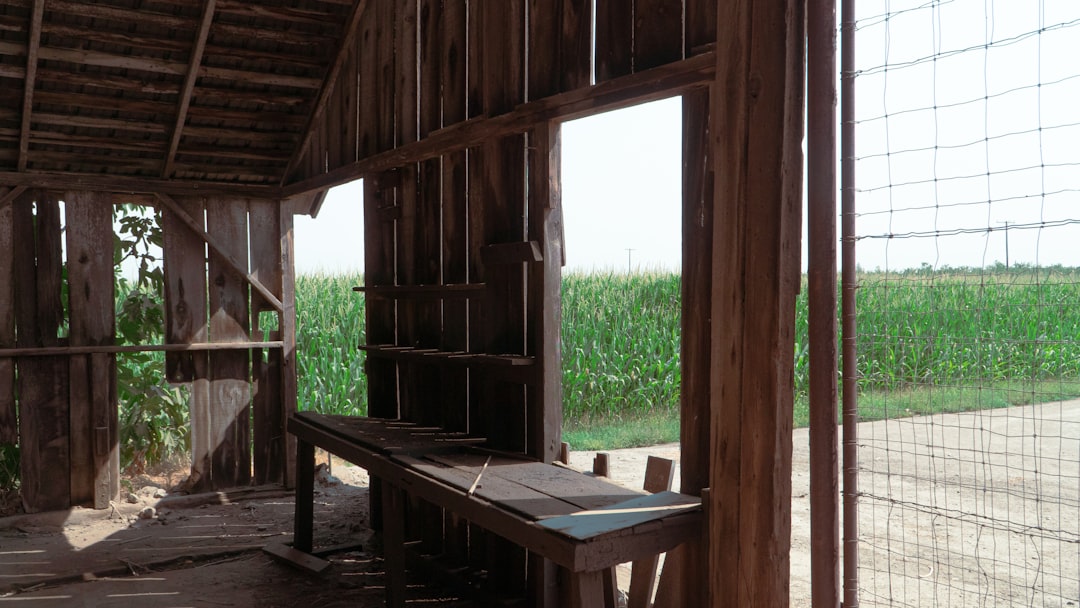 Budowa Domu na Dziale Rolnej: Kompleksowy Poradnik